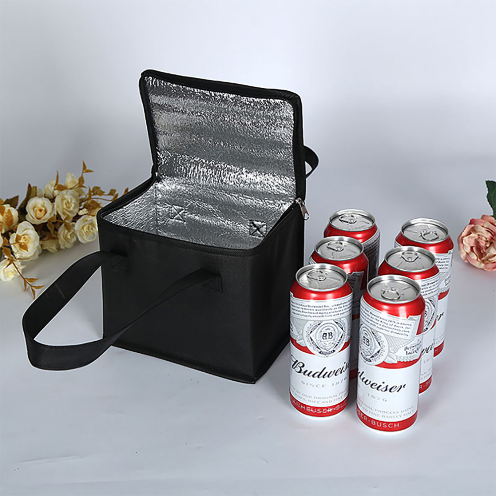Portable Lunch Cooler Bag Fold - Food Snacks Delivery recension och pris